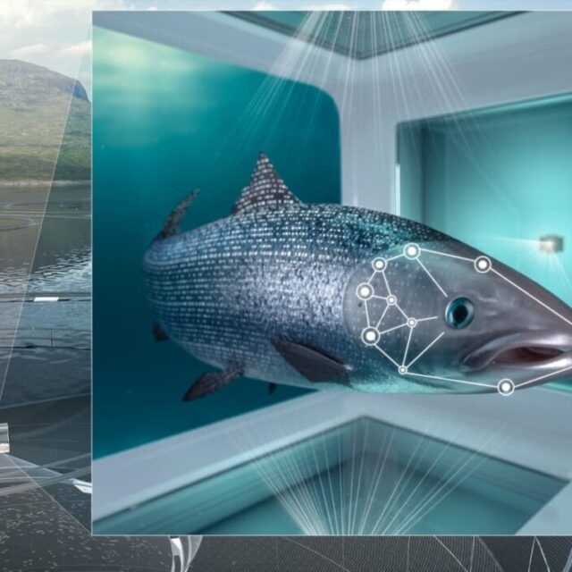 What areas of aquaculture are changing thanks the artificial intelligence?