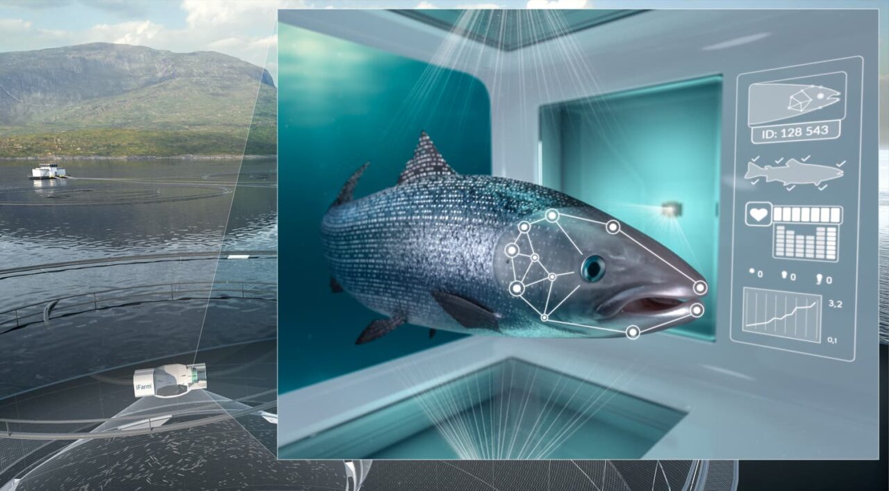 https://www.fishfarmfeeder.com/wp-content/uploads/2024/06/Impact-AI-on-Aquaculture.jpg