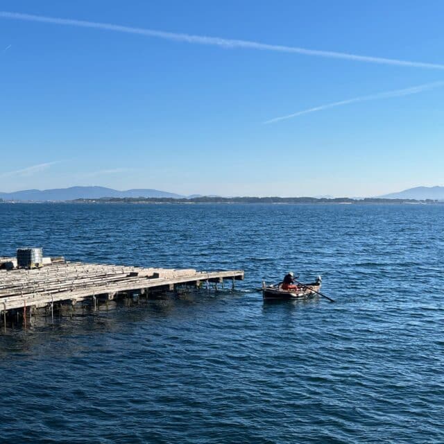 Types of aquaculture farms